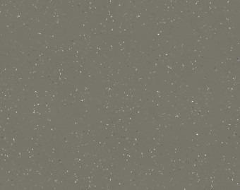 [1001111113_4] Surestep star - 176872 earth
